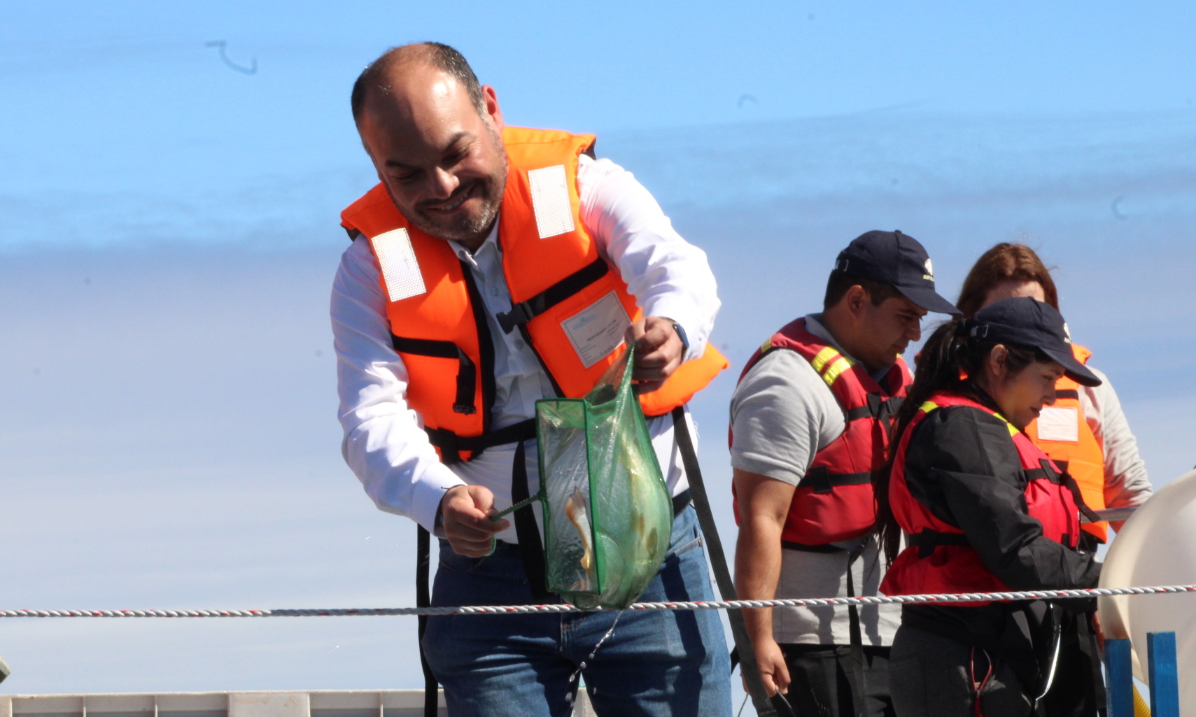 Desde el Centro Acuícola Tongoy de Fundación Chile: Liberan 45 mil juveniles de corvina en la bahía de Tongoy