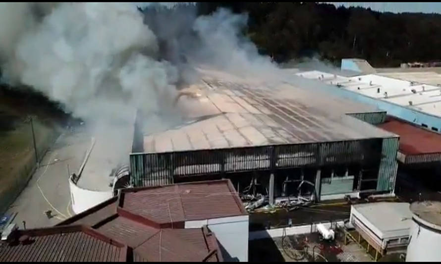 Incendio afecta a planta de congelados de Camanchaca en Talcahuano