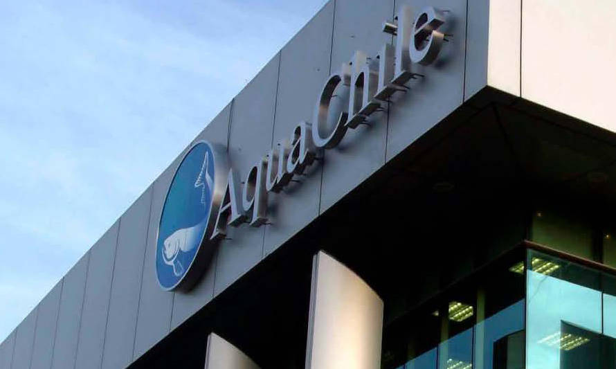 AquaChile busca aumento de capital de US$ 245 millones