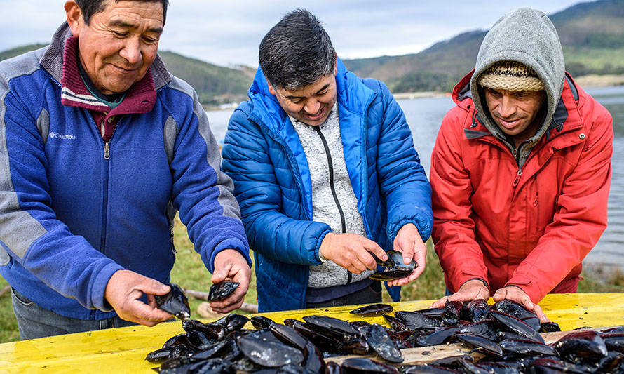 La apuesta de conocer la Región de Los Ríos a través de la pesca artesanal
