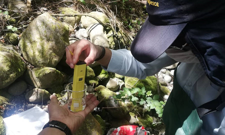 Puerto Varas: Sernapesca entrega antecedentes a SMA por denuncia de malos olores en río Pescado