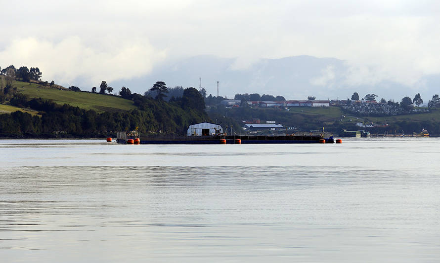 Chiloé: industria acuícola refuerza plan de prevención por contagios de covid-19