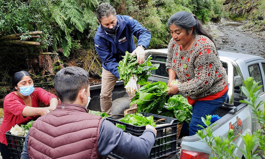 Industria salmonera en Chiloé se abastecerá con hortalizas de Quellón