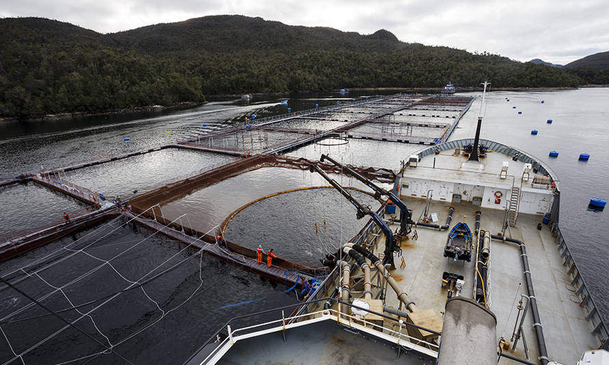 Destacan el potencial del hidrógeno verde en la industria salmonera