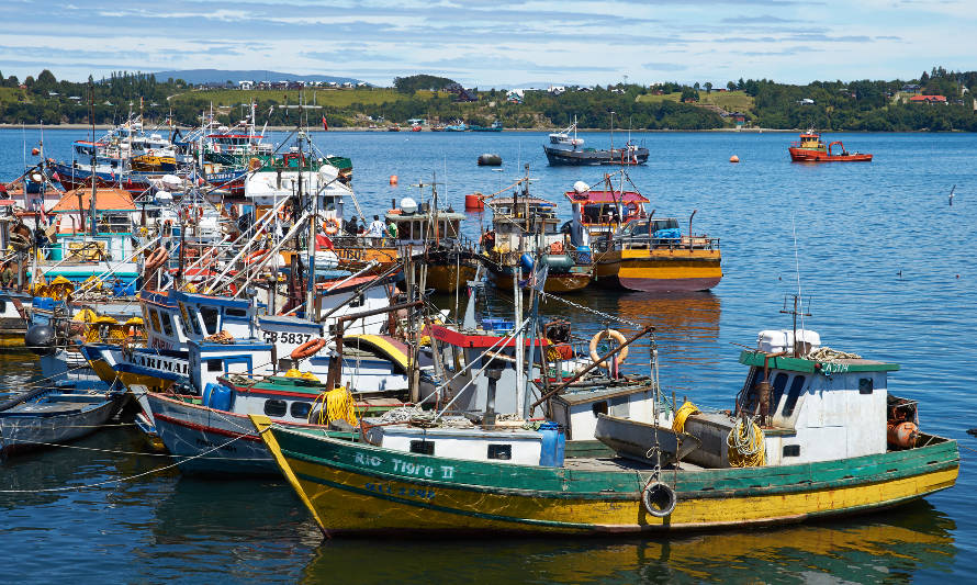 Cámara de Diputados aprueba proyecto que anula la “Ley Longueira”