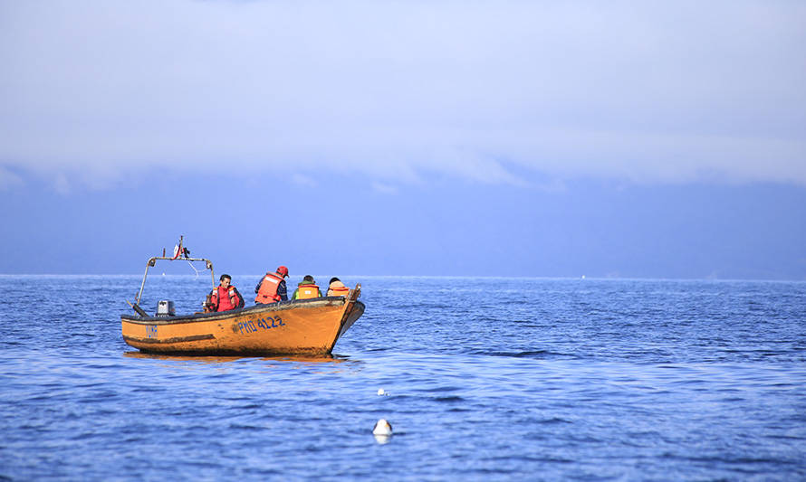 Seminario de Fundación Chinquihue abordará estrategias de desarrollo turístico en las caletas pesqueras del país