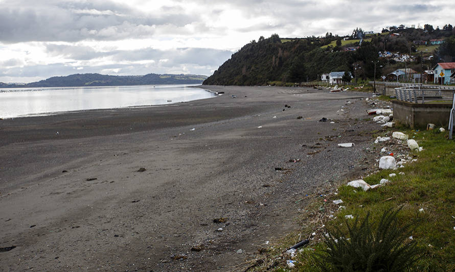 Consejo del Salmón lanza plan de limpieza permanente de playas