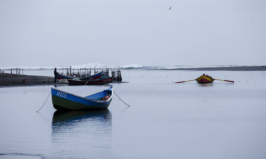Sernapesca inicia el control de desembarque de salmón Chinook en Toltén