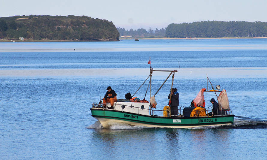 Abren concurso de diversificación productiva para pescadores artesanales de Ancud