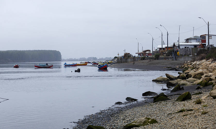 "Caleta en Línea": la nueva plataforma de la pesca artesanal