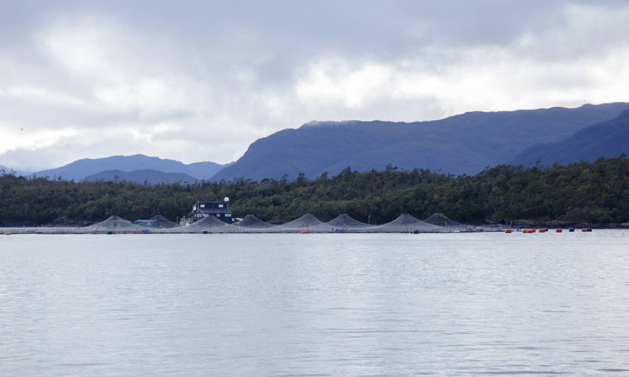 Sernapesca declara “pre-alerta acuícola” en Aysén por actividad del volcán Hudson