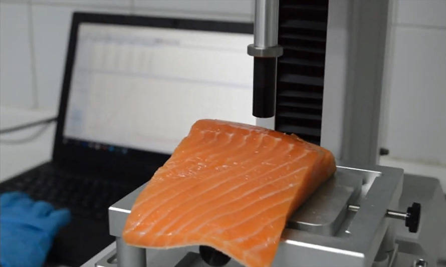 Programa Fish Quality de Skretting analizó cuatro mil muestras de salmón durante 2020