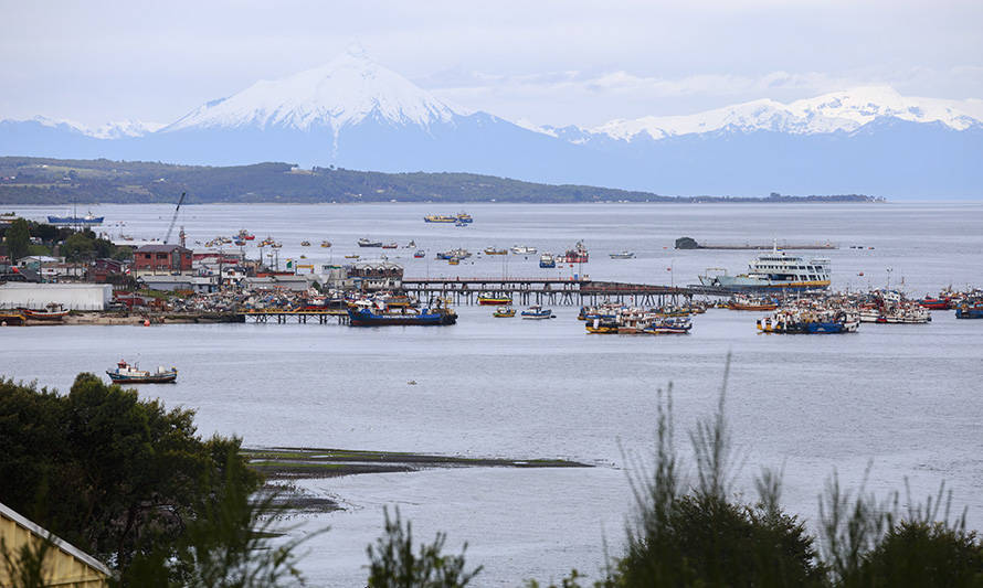 Covid-19: empresas salmoneras de Quellón inician testeo comunitario