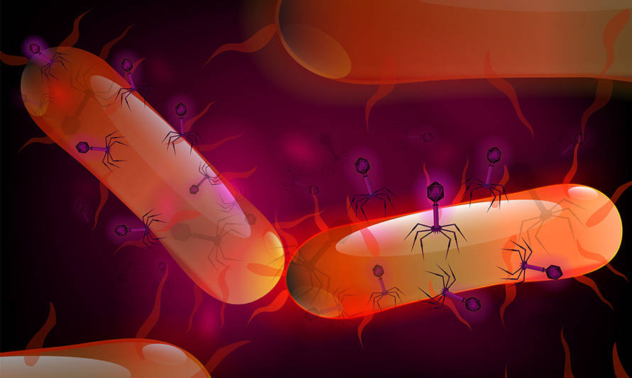 Skretting firma alianza para el desarrollo de bacteriófagos que combatan enfermedades en acuicultura