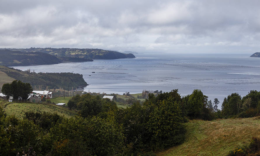 Marea roja: nueva área es cerrada en Chiloé por presencia de veneno amnésico