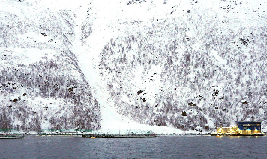 Video registra el alarmante momento en que avalancha cae sobre centro salmonero en Noruega