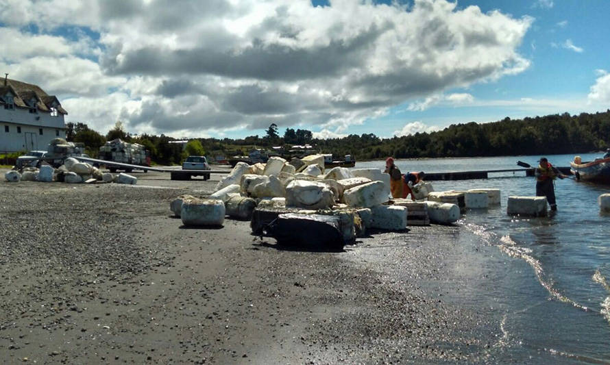 Campaña “Comprometidos con el Mar” retira casi seis mil kilos de residuos de isla Cailín 