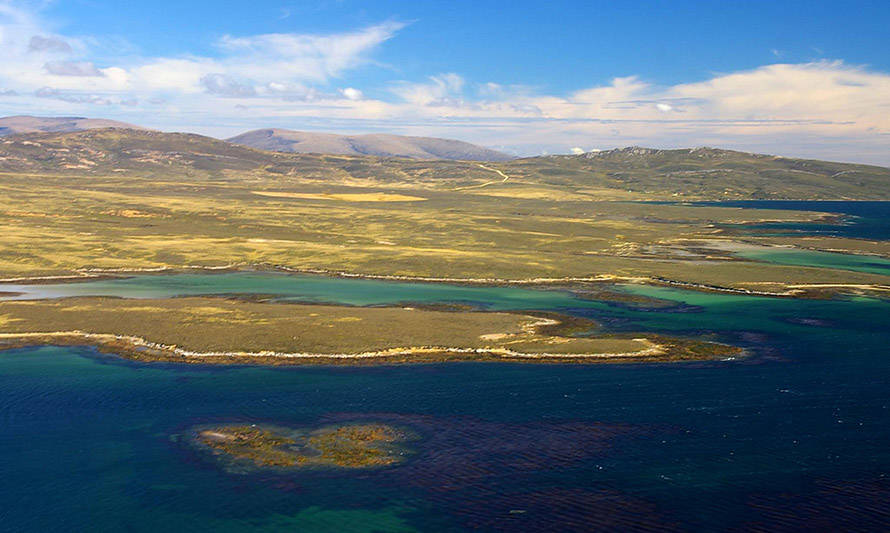 Evaluarán la factibilidad de una industria salmonera en Islas Malvinas