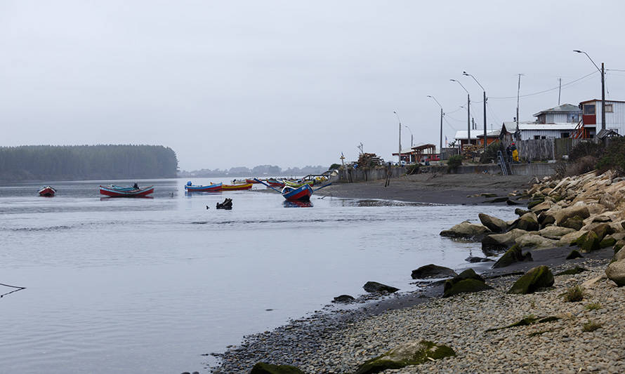 Temporada de salmón Chinook en Toltén cierra con más de 60 toneladas extraídas