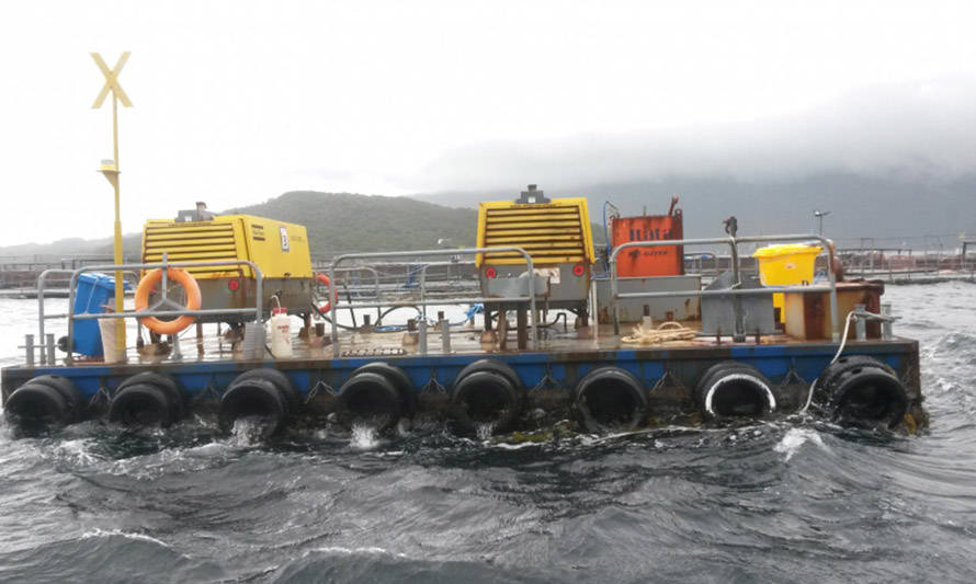 Superintendencia del Medio Ambiente formula cuatro cargos contra salmonera Blumar por nuevas infracciones en Aysén