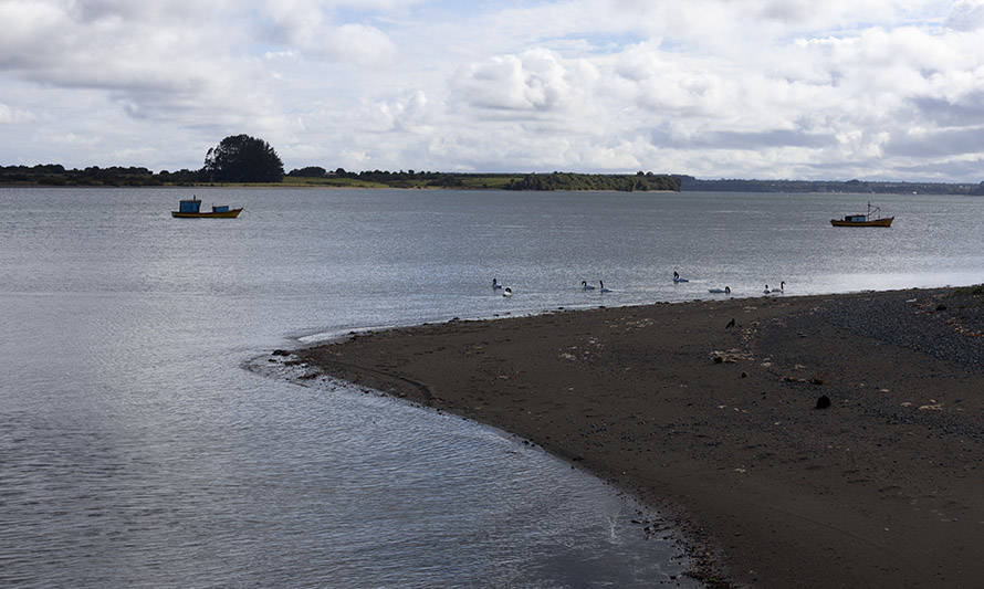 Chiloé: comunidades indígenas de Caulín firman convenio de uso de espacio costero marino