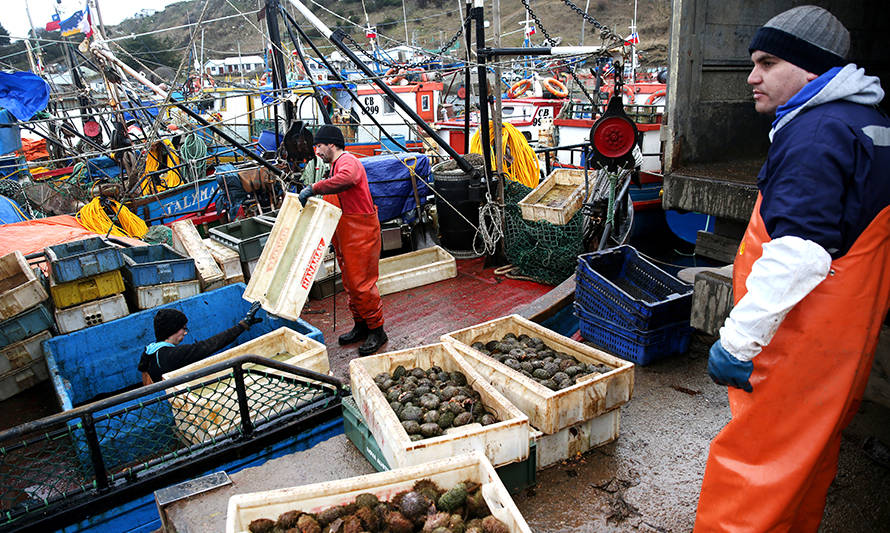 Programas de Indespa destinarán más $ 10 mil millones a pescadores artesanales y pequeños acuicultores este 2021