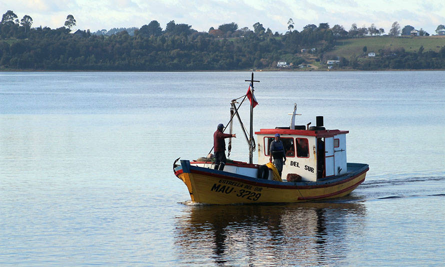 Amplían plazo para que pescadores artesanales postulen al directorio de Fundación Chinquihue