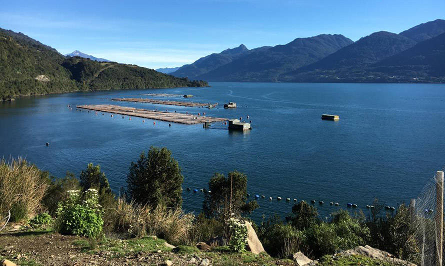 Ordenación de la industria salmonera chilena en tiempos de emergencias locales y globales