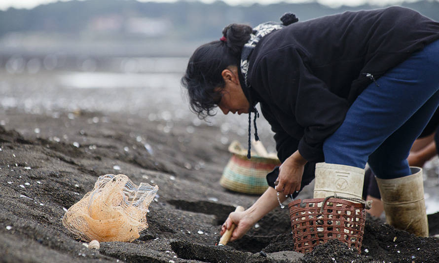 Capacitarán a sindicatos de pescadores artesanales de Chiloé en fortalecimiento organizacional con enfoque de género