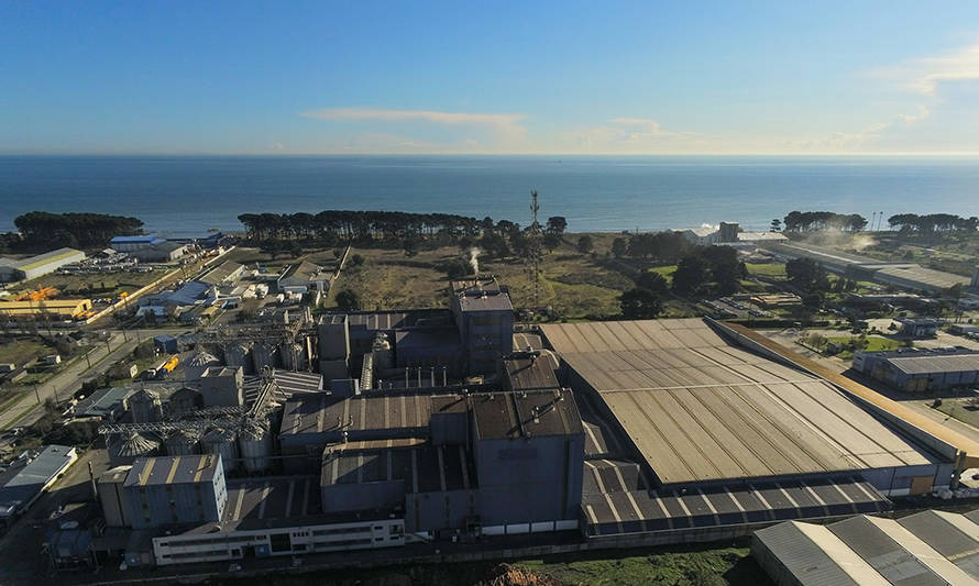 Cargill Chile certifica el uso de energía renovable en todas sus operaciones