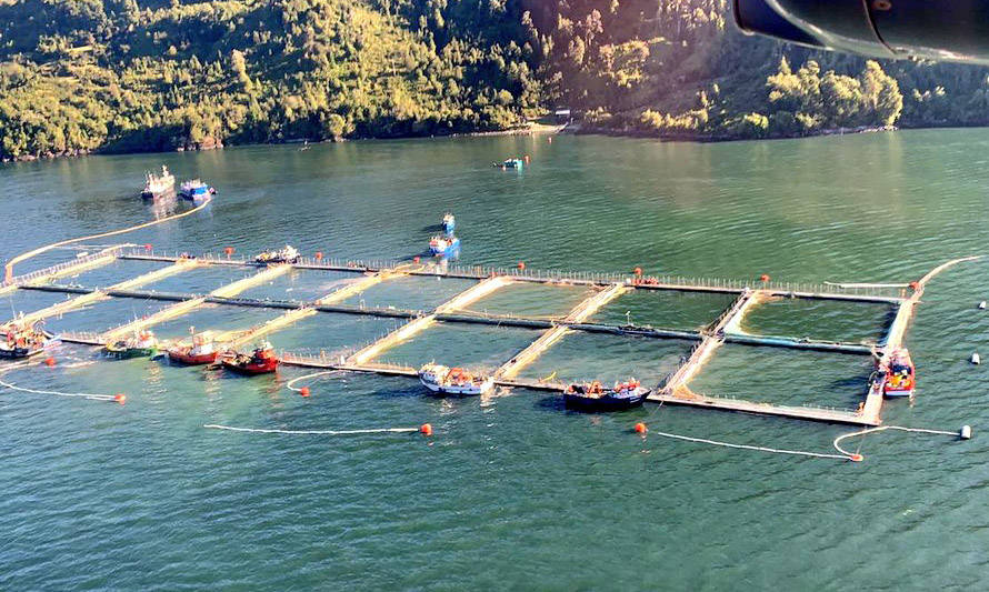 Sernapesca presentará querella en contra de Camanchaca por vertido de agua con material orgánico en el fiordo Comau