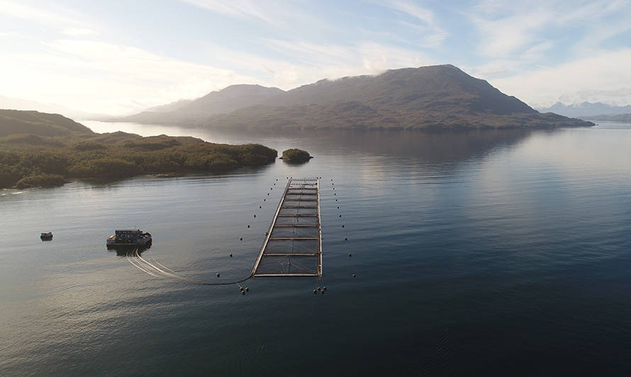 Consejo del Salmón inicia trabajo con proveedores acuícolas de Aysén