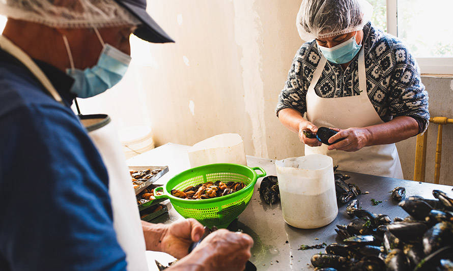 Región de Los Ríos: diagnóstico revela problemas de emprendedores de la pesca artesanal debido a la pandemia