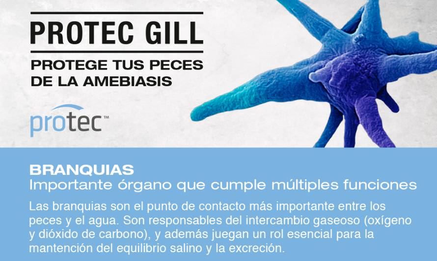 ¿Por qué es importante proteger a los peces de la amebiasis?