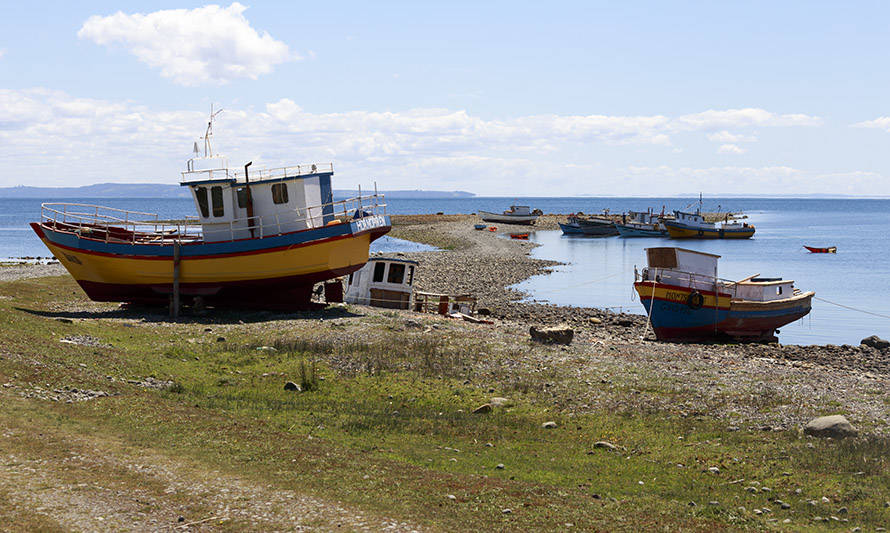 Hasta el 1 de junio: Ejecutivo extiende plazo para presentar nominaciones a consejos zonales de pesca 