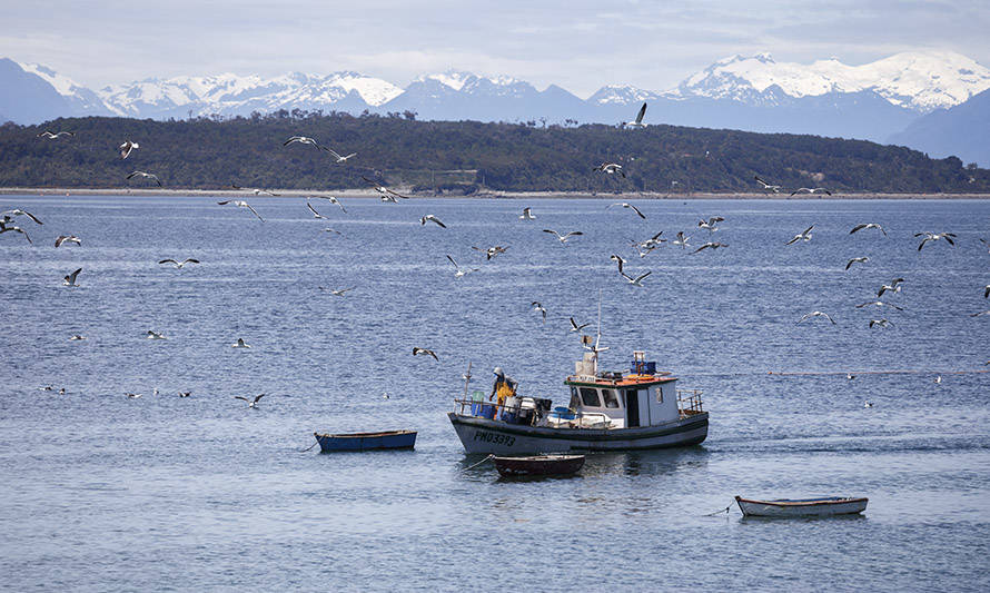 "Ley Supersol": comienza análisis de iniciativa que busca mejorar seguridad marítima de pescadores artesanales