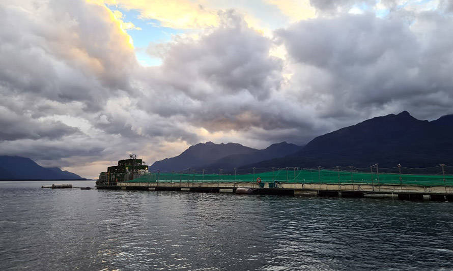 Consejo del Salmón: “Las empresas salmonicultoras en Chile también han avanzado mucho en materia de sustentabilidad”