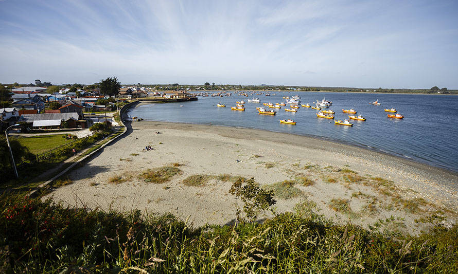 Subpesca convocará a Comité de Plagas para apoyar a pescadores de Carelmapu y Maullín