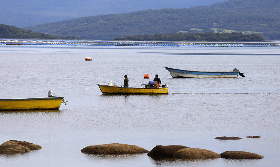 Senador Quinteros denuncia que Indespa no está entregando ayuda a organizaciones de la pesca artesanal