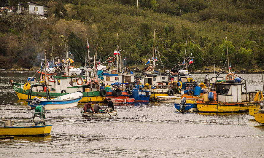 Ejecutivo anuncia que dispondrá más de $ 1800 millones para apoyar a organizaciones de pescadores artesanales