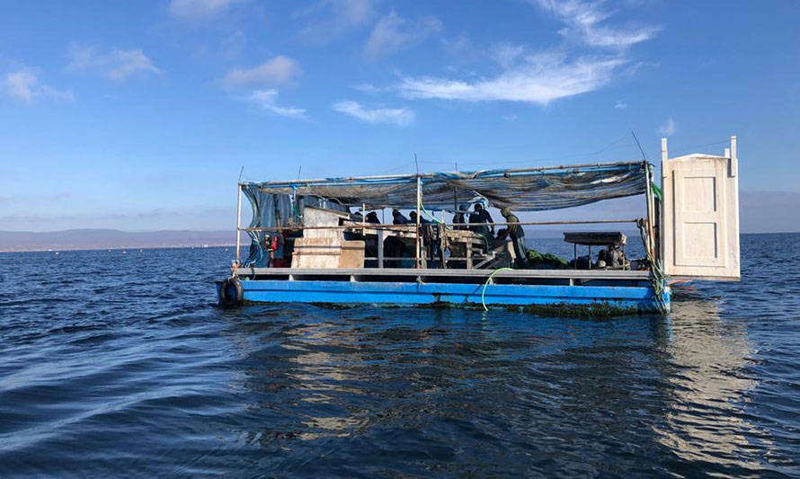 Buscan potenciar la acuicultura de pequeña escala en Coquimbo mediante la identificación de brechas tecnológicas