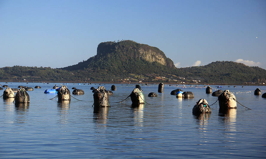 Científicos reinstalan sistema de monitoreo para medir variabilidad ambiental en Caleta El Manzano