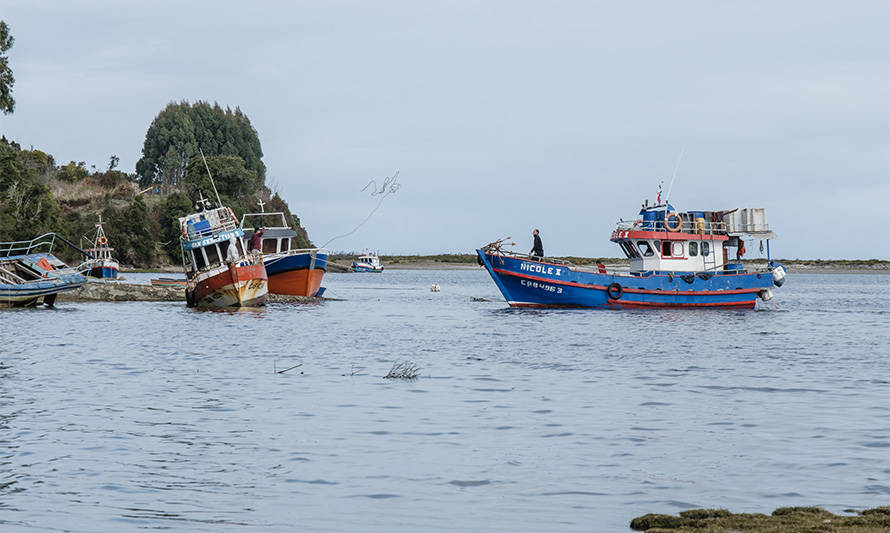 Proyecto que busca entregar bono de alivio a pescadores artesanales avanza en la Cámara de Diputados