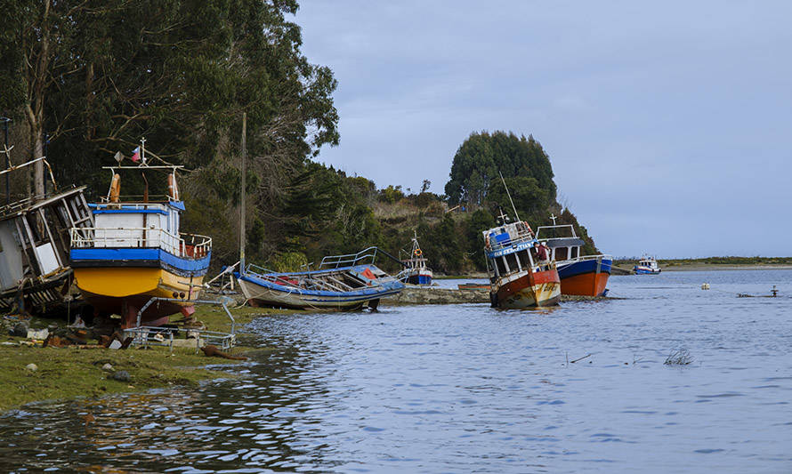 Cámara de Diputados aprueba bono de alivio para la pesca artesanal y Gobierno hace reserva de constitucionalidad