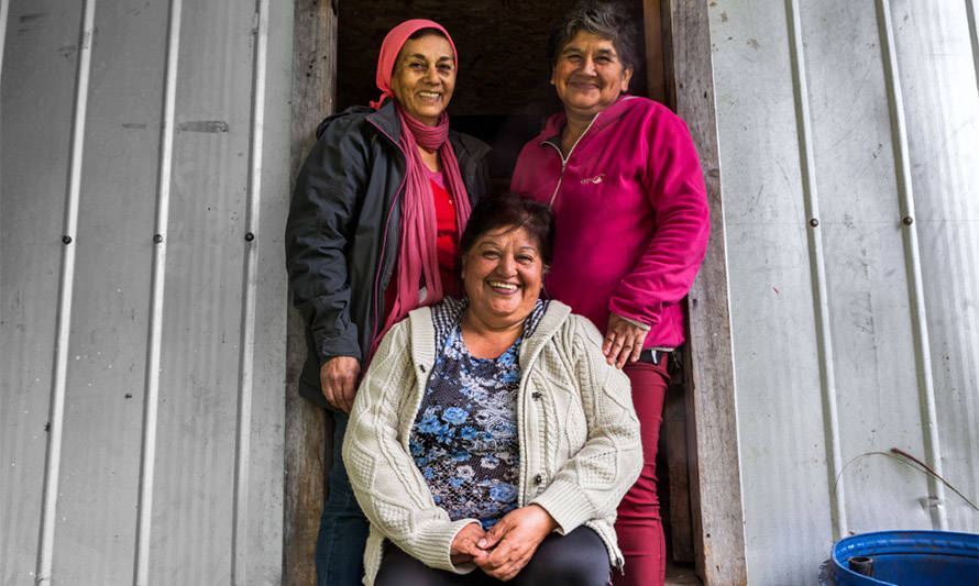 Salmones Camanchaca lanza fondo concursable para financiar proyectos con impacto social en Chiloé y Palena