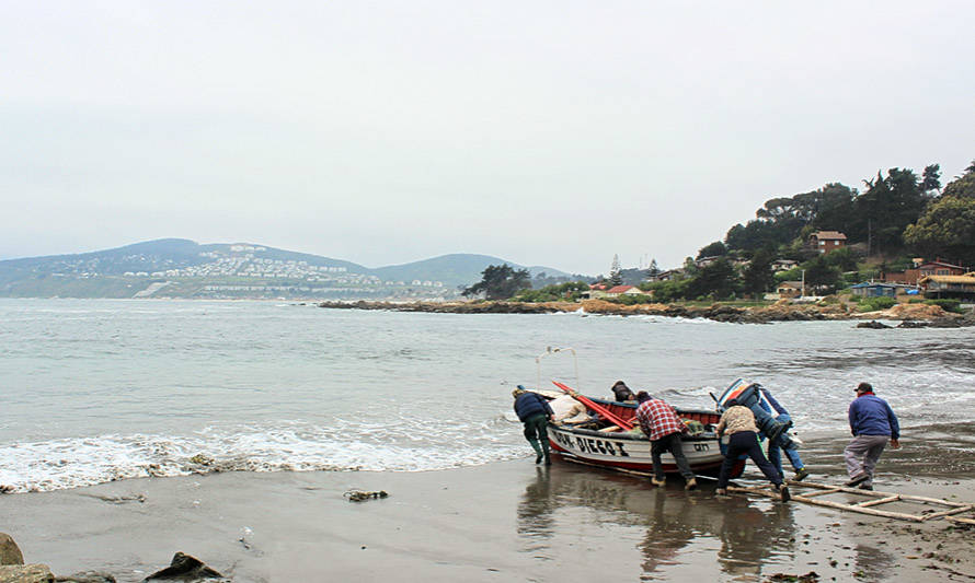 Manejo colectivo de recursos marinos promueve la sostenibilidad y cooperación entre pescadores, según estudio