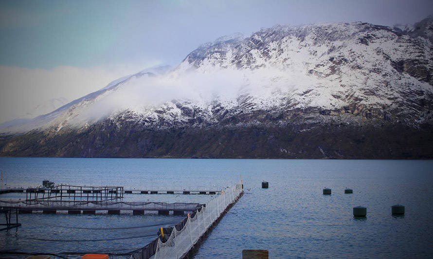 Asociación de Salmonicultores de Magallanes repudia malas prácticas de empresa Nova Austral