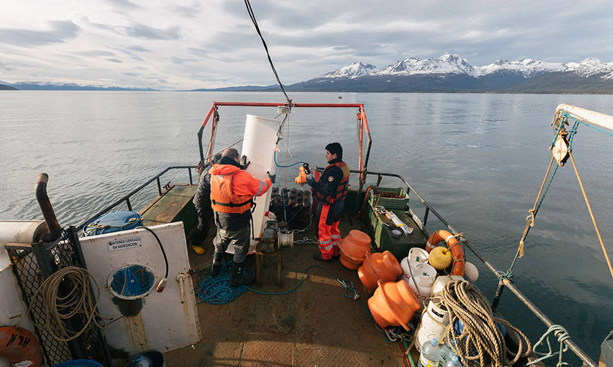 Expedición oceanográfica al canal Beagle recuperó datos sobre estado de ecosistemas marinos de la zona subantártica