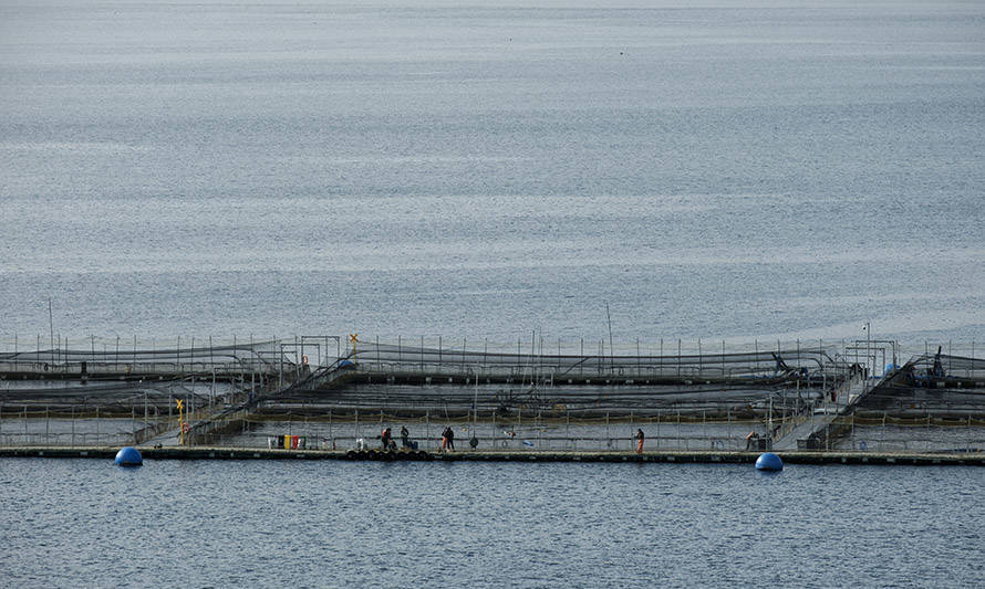 Consejo del Salmón analizó implicancias de informe de cambio climático de la ONU