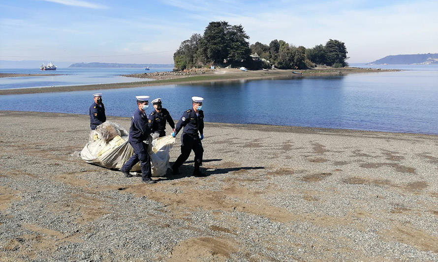 Retiran en Puerto Montt una tonelada de basura en el Día Internacional de Limpieza de Playas
